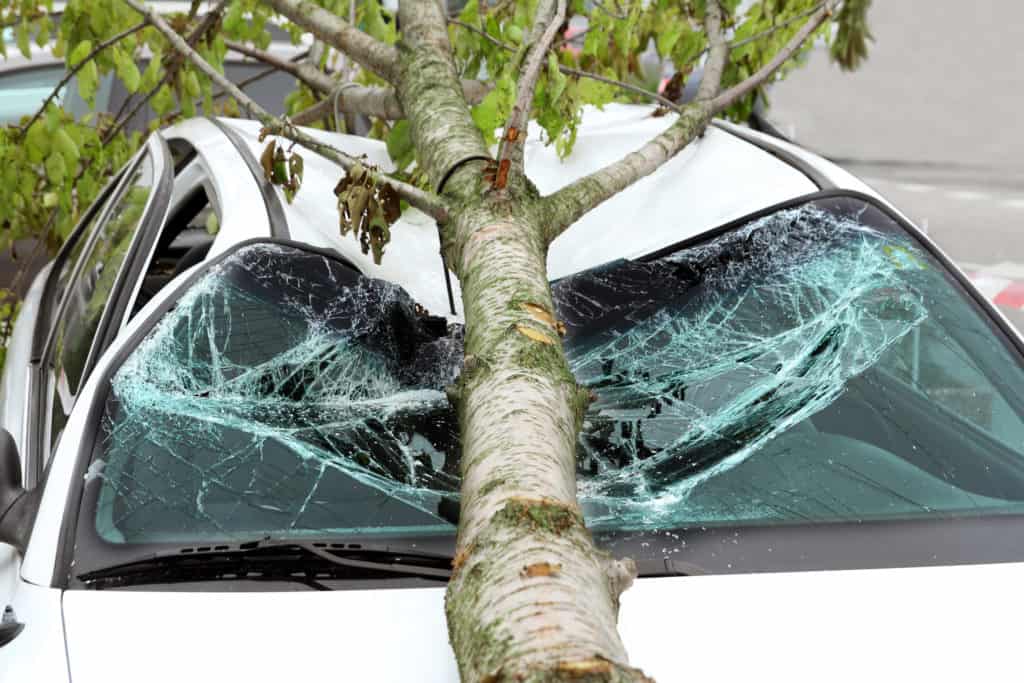 Brutal Car-Tree Crash on Highway 101 Injures 2 People [Ukiah, CA] 